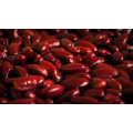Dark red 400g canned red kindney beans/white kidney beans in tomato sauce/in brine
